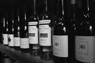 又一家開(kāi)業(yè),南向坡地引領(lǐng)酒類(lèi)零售新風(fēng)向